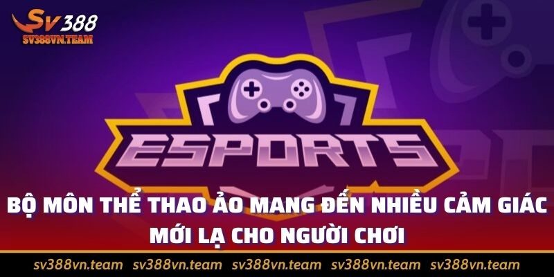 Giới thiệu về E-Sports và lý giải sức hút của thể loại 1 Bộ môn thể thao ảo mang đến nhiều cảm giác mới lạ cho người chơi