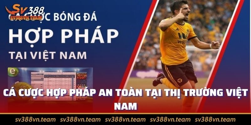 Cá cược thể thao thỏa mãn đam mê, rinh tiền thưởng khủng 3 Cá cược hợp pháp an toàn tại thị trường Việt Nam