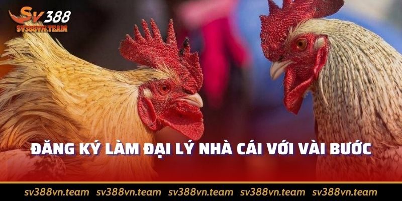 Đại Lý Sv388 – Muôn Vàn Những Ưu Đãi Hấp Dẫn Từ Nhà Cái 4 Đăng ký làm đại lý nhà cái với vài bước