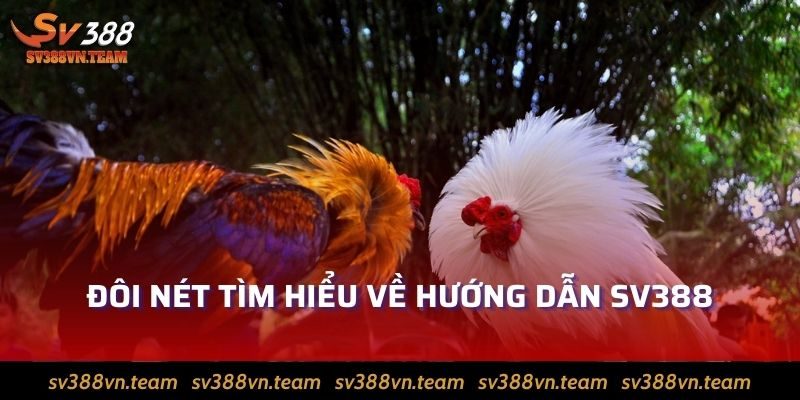 Đôi nét tìm hiểu về hướng dẫn Sv388