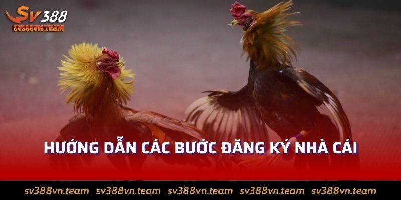 Hướng dẫn các bước đăng ký nhà cái