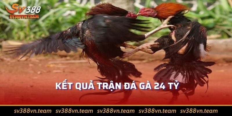 Trận Đá Gà 24 Tỷ Gây Sốt Cho Cộng Đồng Gà Chọi Có Gì Hay 3 Sau cùng kê thủ Bình Dương xuất sắc chiến thắng