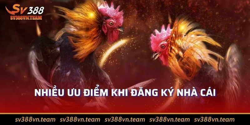 Đăng Ký Sv388 Hướng Dẫn Đơn Giản Và Hiệu Quả Nhất 2024 4 Nhiều ưu điểm khi đăng ký nhà cái