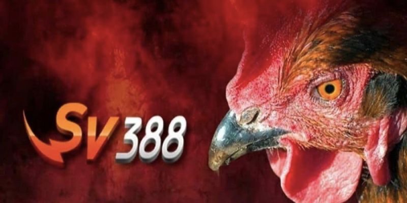 Thế giới cá cược mạng hấp dẫn chưa từng có tại Sv388