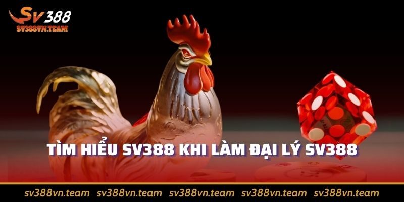Đại Lý Sv388 – Muôn Vàn Những Ưu Đãi Hấp Dẫn Từ Nhà Cái 1 Tìm hiểu Sv388 khi làm đại lý Sv388