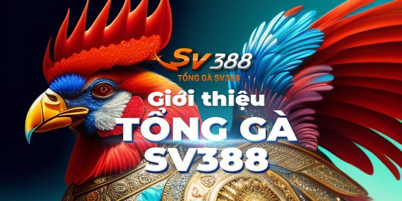 Tổng gà Sv388 tưng bừng khuyến mãi chào mừng người chơi