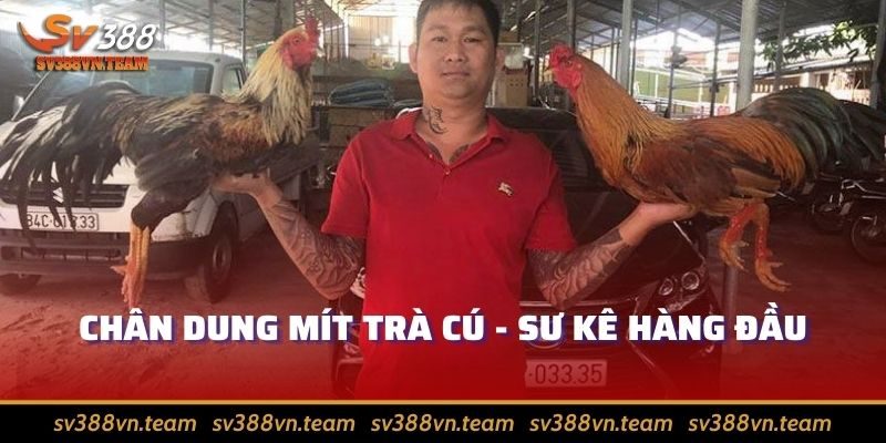 Trận Đá Gà 24 Tỷ Gây Sốt Cho Cộng Đồng Gà Chọi Có Gì Hay 4 Sau Phúc thì anh Mít cũng lập tức có cho mình kèo đấu để đời