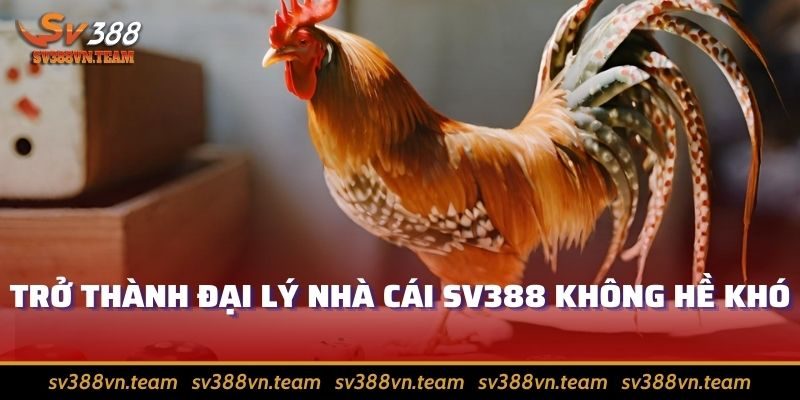 Đại Lý Sv388 – Muôn Vàn Những Ưu Đãi Hấp Dẫn Từ Nhà Cái 2 Trở thành đại lý nhà cái Sv388 không hề khó
