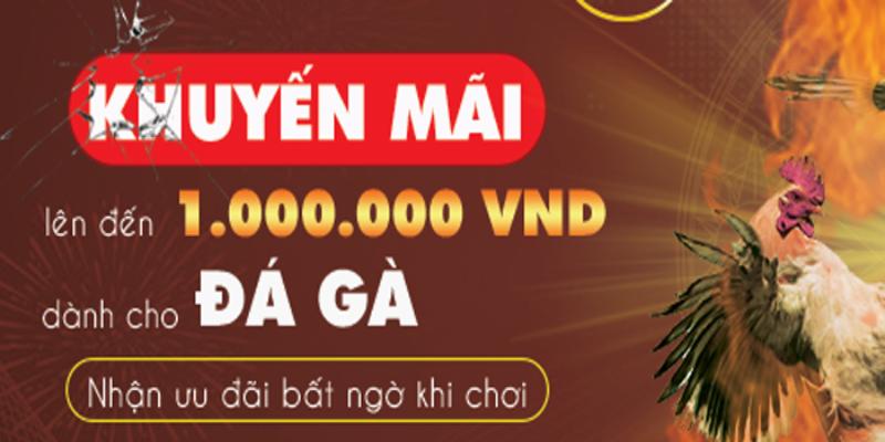 Ưu đãi bất ngờ cho người dùng cược thắng liên tục tại Sv388