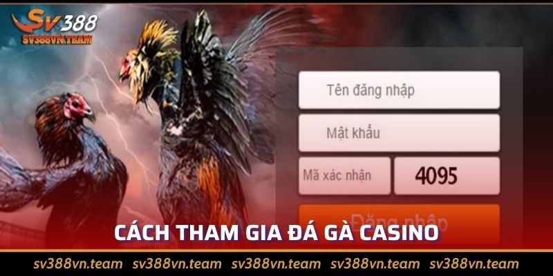 Đá Gà Casino Uy Tín, Minh Bạch Top 1 Thị Trường 4 Hướng dẫn đăng ký chơi đá gà casino trực tuyến