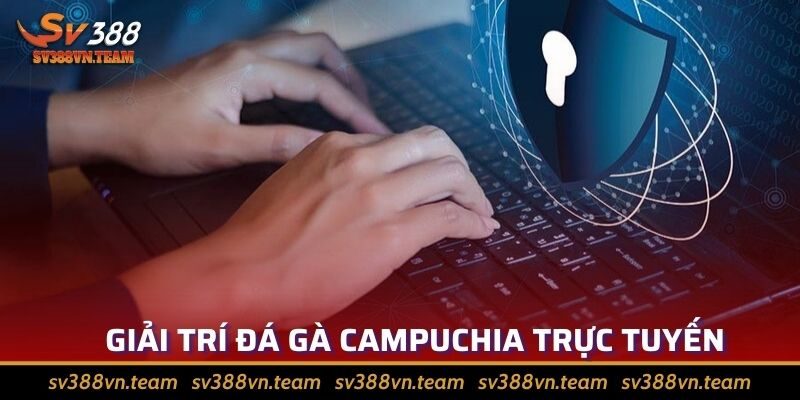 Đá Gà Campuchia - Điểm Đặc Biệt Thu Hút Người Chơi 4 Chơi trực tuyến là cách tốt nhất khi tham gia đấu trường Campuchia