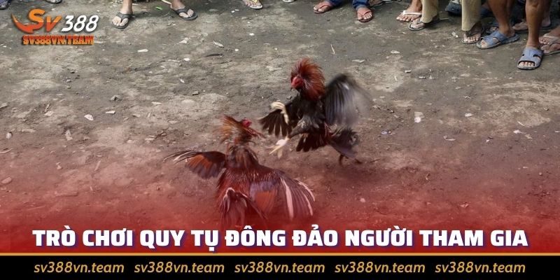 Đá Gà Casino Uy Tín, Minh Bạch Top 1 Thị Trường 1 Các trận đá gà Casino quy tụ người tham gia đông đảo