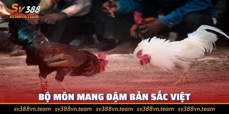 Khám Phá Đá Gà Cựa Dao - Tìm Hiểu Những Thông Tin Chi Tiết 3 Bộ môn là niềm tự hào, mang đậm bản sắc Việt