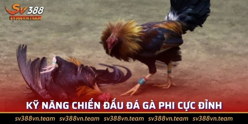 Tìm Hiểu Về Đá Gà Phi? Các Giống Gà Phổ Biến Nhất Hiện Nay 3 Kỹ năng mỗi chiến kê đều rất đáng nể