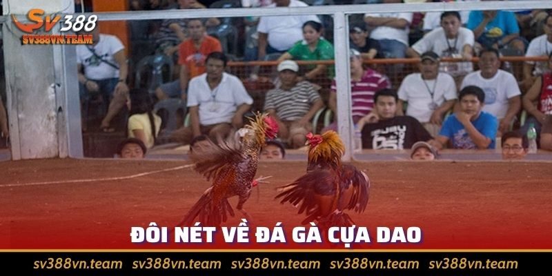 Khám Phá Đá Gà Cựa Dao - Tìm Hiểu Những Thông Tin Chi Tiết 1 Đôi nét về môn đá gà cựa dao danh tiếng Việt Nam