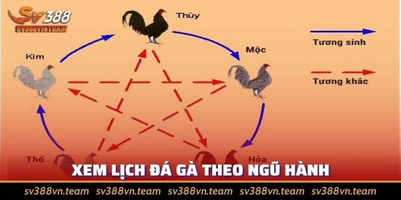Tổng Hợp Các Bí Quyết Xem Lịch Đá Gà Hiệu Quả Nhất 3 Bí quyết vận dụng ngũ hành vào lịch đá gà